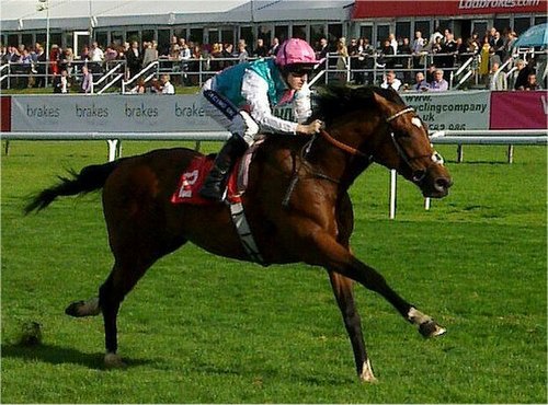 Frankel in his second start at Doncaster