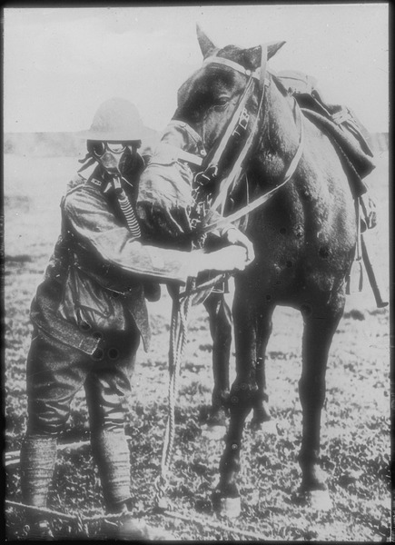 File:Gas masks for man and horse demonstrated by American soldier, circa 1917-18., 1918 - 1919 - NARA - 516483.tif