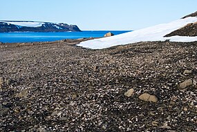 Geógrafo's Bay, Georg Land, Franz Josef Land