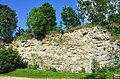 Geotop Steinbruch Tieringen