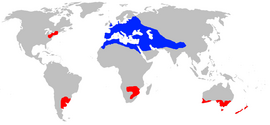 Área de distribución de Vespula germanica en azul: distribución orixinal en vermello: introducida