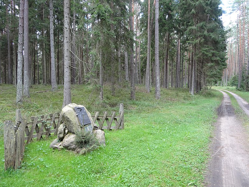 File:Gmina Ruciane-Nida, Poland - panoramio - Wojciech Zabolotny (6).jpg