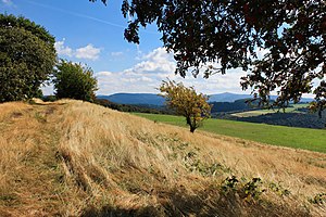 View from Hürs-Nück towards Hohe Acht