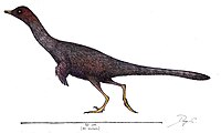 List Of Asian Dinosaurs