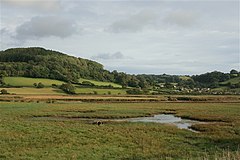 Hawkesdown Hill and Axmouth