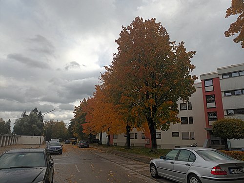 Typisches Herbstblick