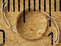 Thumbnail for version as of 16:02, 7 December 2012