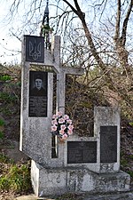 Horodylovychi Sokalskyi Lvivska-monument to Protsiuk-1.jpg