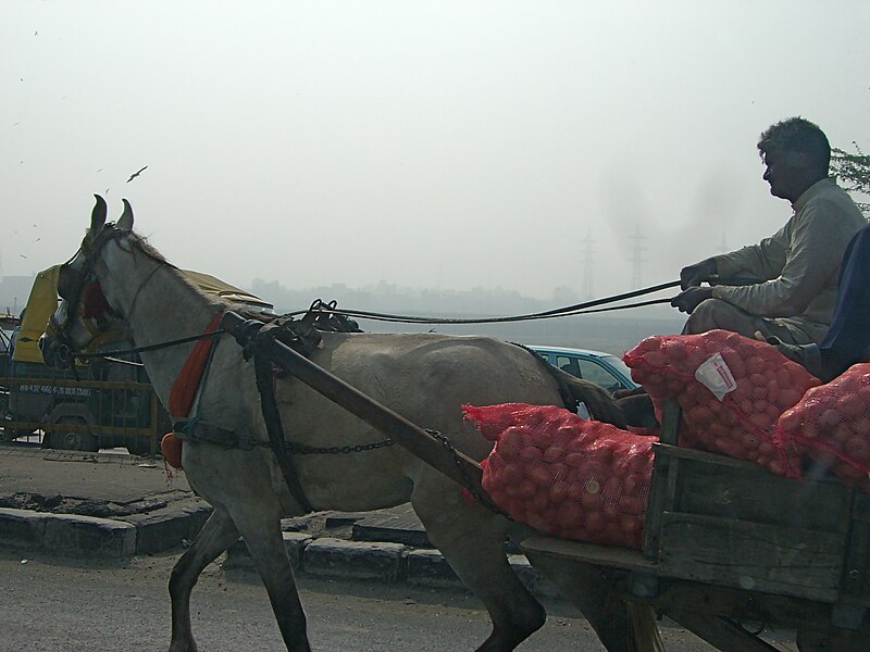 File:Horse and Carriage India.jpg