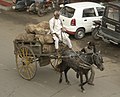 Horse carriage, Gwalior.jpg