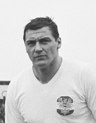 <span class="mw-page-title-main">Horst Nemec</span> Austrian footballer