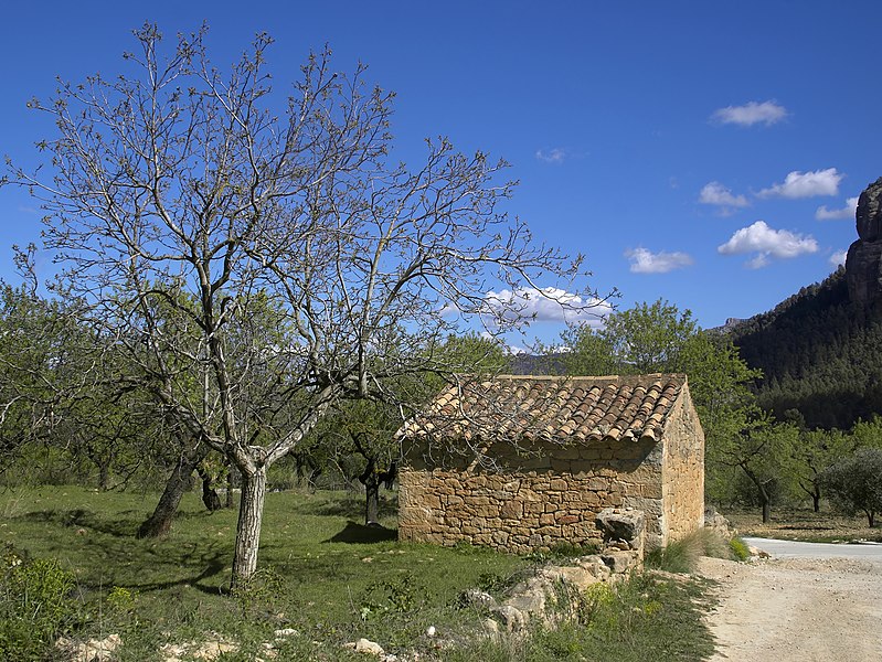 File:Horta de San Juan - shed.jpg