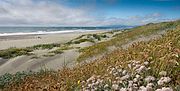 Thumbnail for Humboldt Bay National Wildlife Refuge