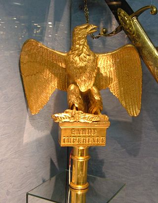 <span class="mw-page-title-main">French Imperial Eagle</span> Battle standard of Napoleons Grande Armée