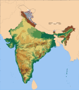 L'Assam, pays du thé et dernière grande vallée fertile au sud-est de l'Himalaya.