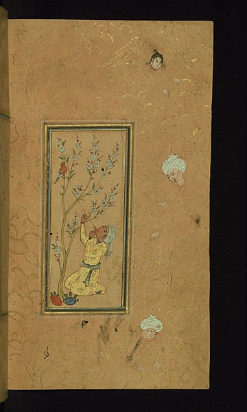 File:Iranian - Young Man Playing Flute with Singing Bird Perched in a Blossoming Tree - Walters W65324B - Full Page.jpg