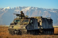 Italian Army - 8th Alpini Regiment BV206 S7 during a training exercise in Friuli December 2022.jpg