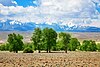 Golden Mountains of Altai