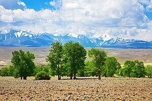 Altai Mountains