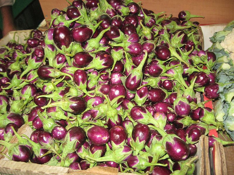 File:Jerusalem Tiny Eggplants (3784738926).jpg