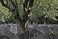 * Nomination Jewish Cemetry Diemen, Field A-7 - Basvb 16:05, 9 November 2011 (UTC) * Decline Very excellent composition, but why ISO 1.600? This makes the picture too noisy for a QI, also without tripod at least 1/250s would be possible with 135 mm --Haneburger 19:03, 12 November 2011 (UTC)