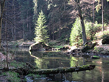 Die Kamenice unterhalb der Grundmühle (Dolský mlýn)