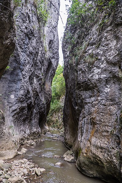 File:Kanjon Cediljka 2.jpg