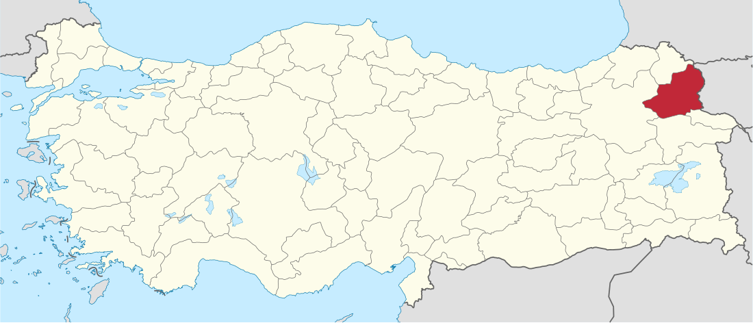 Kars (electoral district)