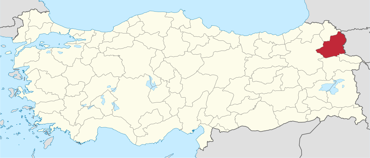 Kars (electoral district)