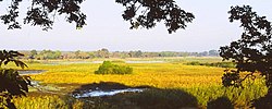 Vignette pour Parc national de Kasanka