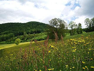 <span class="mw-page-title-main">Randen (mountain range)</span> Mountain in Switzerland