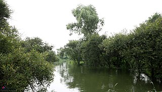 <span class="mw-page-title-main">Bamseom</span> Two islets in Seoul, South Korea