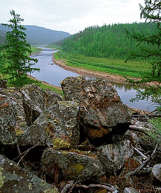 <span class="mw-page-title-main">Olyokma Nature Reserve</span> Nature reserve in the Sakha Republic, Russia