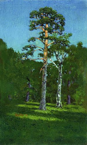 Kuindzhi Pine 1878.jpg