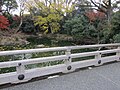 Kyoto Gyoen National Garden