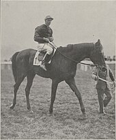 Image illustrative de l’article Tourbillon (cheval)