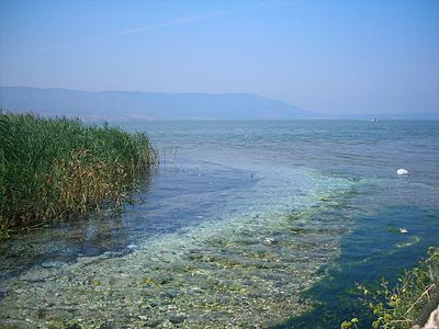 Lago di Varano 01