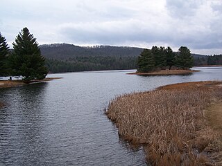 <span class="mw-page-title-main">Lake Sherwood (West Virginia)</span> Reservoir in Greenbrier County, West Virginia