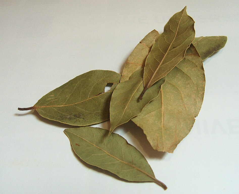 File Laurier Spice Jpg Wikimedia Commons