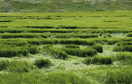 Les Oluges (Segarra), 5 de maig de 2004