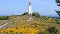 * Nomination Dornbusch lighthouse on Hiddensee during blooming period of broom. --Michael32710 16:33, 30 November 2018 (UTC) * Promotion  Support Good quality. --Milan Bališin 17:55, 30 November 2018 (UTC)
