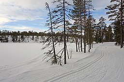 Lindsjön sedd från skidspåren som passerar på östra sidan.