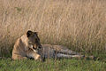 Queen Elizabeth National Park, Uganda