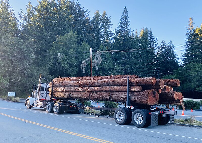 File:Logging truck seen at Sky Londa.jpg