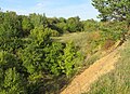 Čeština: Přírodní památka Lom Kozolupy, nedaleko obcí Kozolupy, Bubovice a Mořina, okres Beroun English: Natural monument Lom Kozolupy near villages Kozolupy, Bubovice and Mořina, Beroun District in Czech Republic