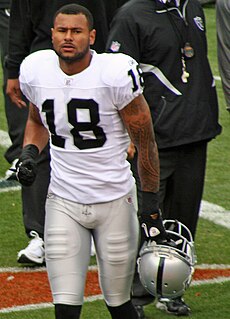 Louis Murphy American football player (born 1987)