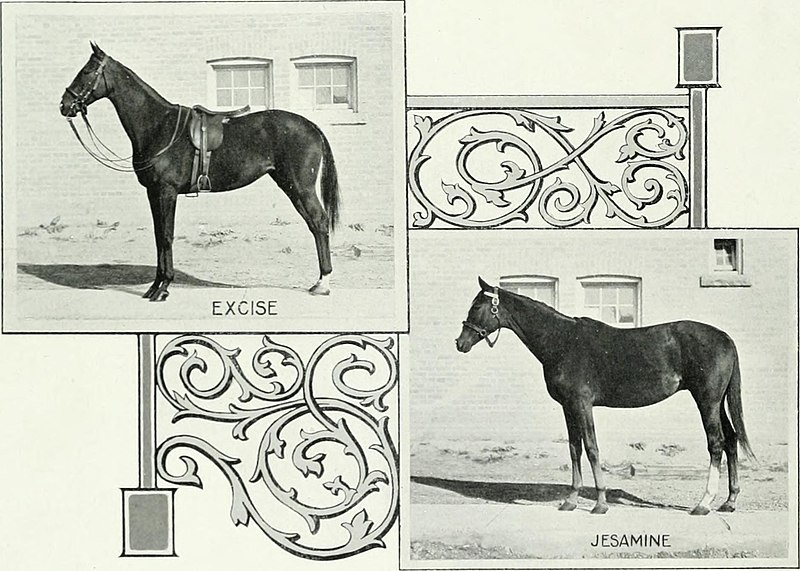 File:Lovers of the horse - brief sketches of men and women of the Dominion of Canada devoted to the noblest of animals. - (1909) (14579173888).jpg