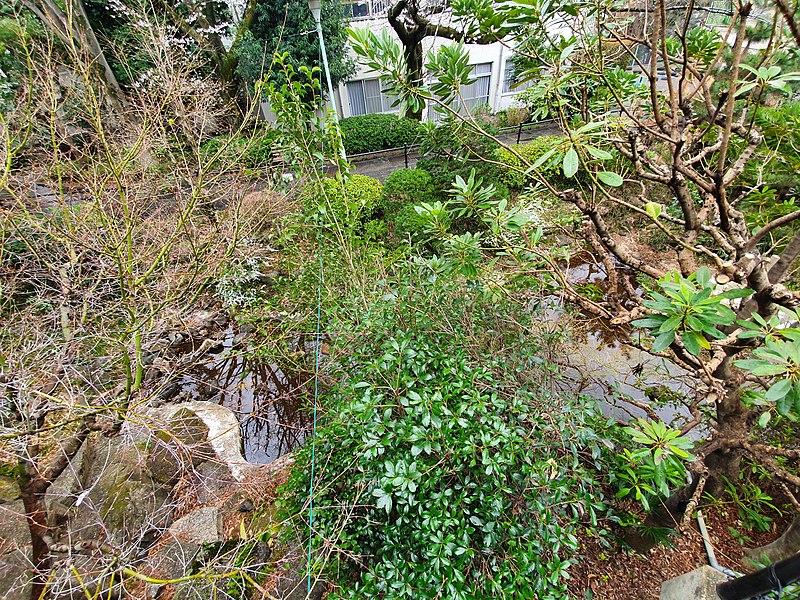 File:Lower part of Saigōyama Park 2.jpg