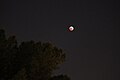 Lunar eclipse (16822666267).jpg