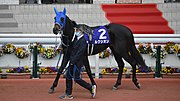 ルクシオン (競走馬)のサムネイル